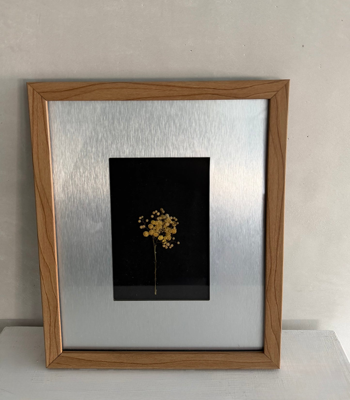 Cuadros decorativos flores prensadas