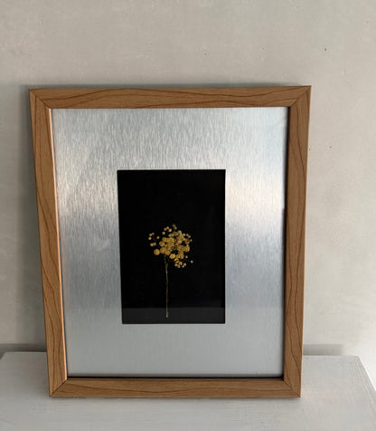 Cuadros decorativos flores prensadas