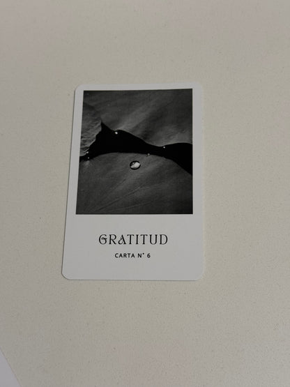 Cartas oráculo “Aquí y Ahora”
