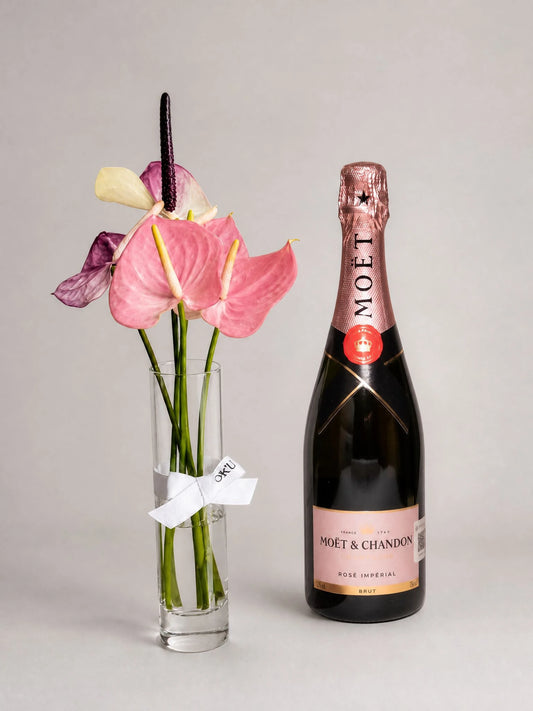Kit Iro + Moët & Chandon